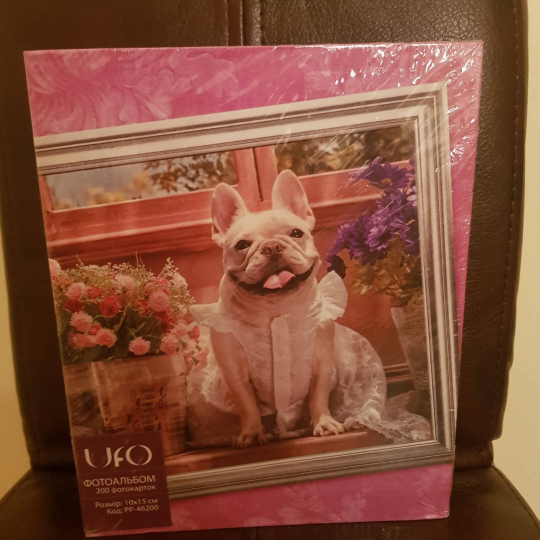 Фотоальбом UFO на 200 фотографий 10×15 с собакой
Фотоальбом UFO на 200 фотографий 10×15 с собакой