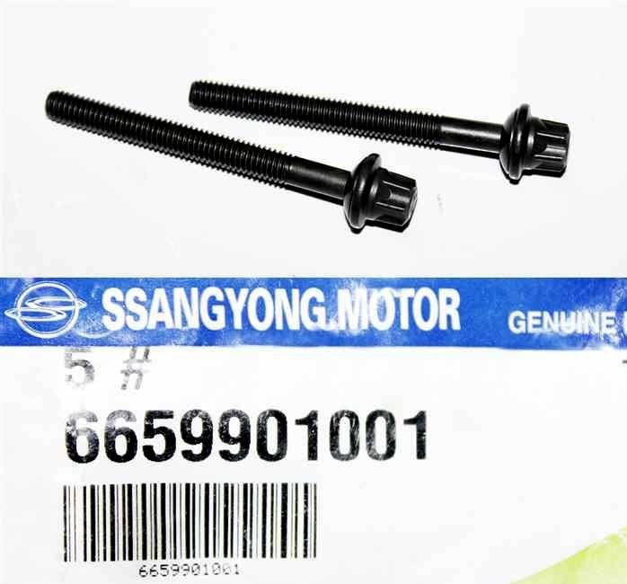 Болт крепления форсунки SsangYong Rexton, Kyron , Actyon 6659901001 
Болт крепления форсунки SsangYong Rexton, Kyron , Actyon 6659901001