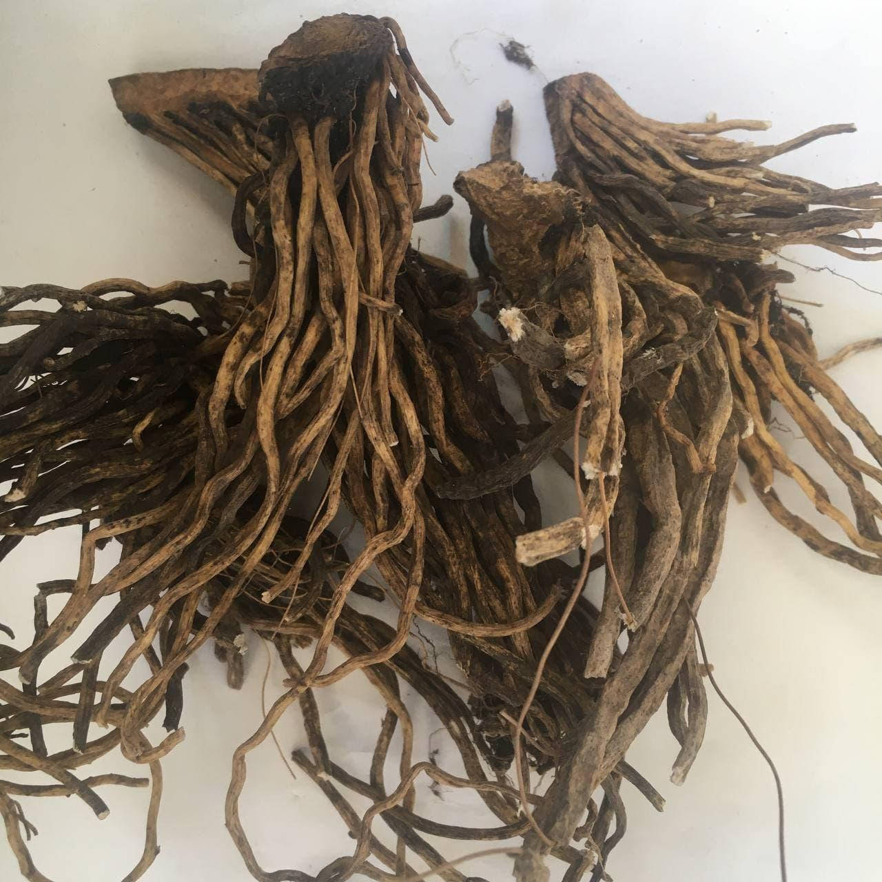 Чемерица (корень) 50 гр
Чемерица (корень) 50 гр