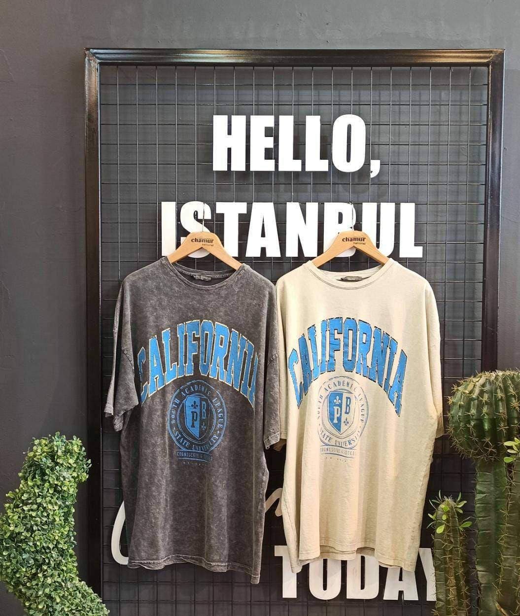 Футболка Калифорния
Футболка Калифорния