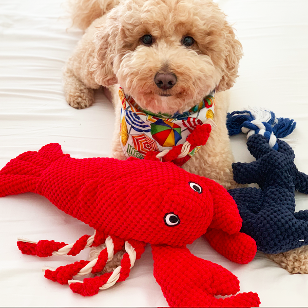 Игрушка для собак Patchwork Pet Lobster (Пэчворк Пэт Лобстер) 200 
Игрушка для собак Patchwork Pet Lobster (Пэчворк Пэт Лобстер) 200