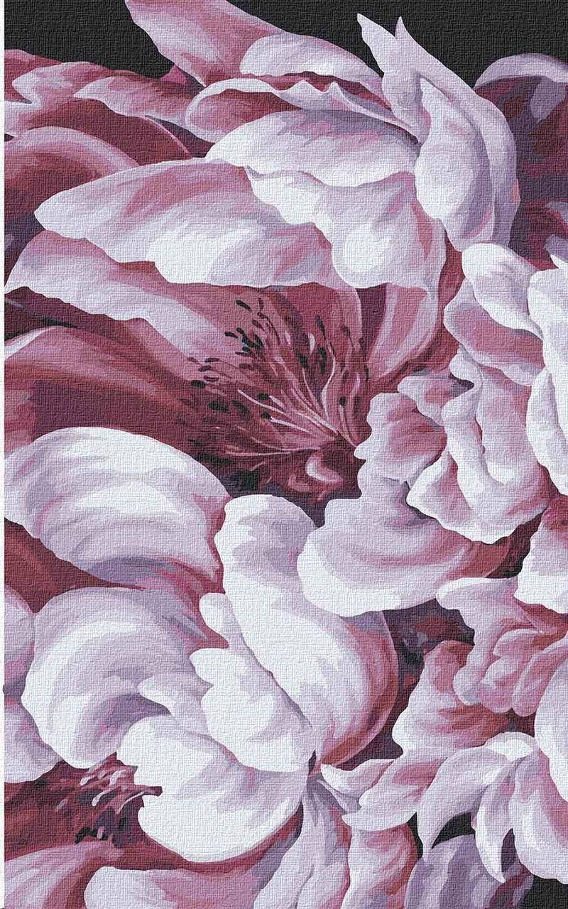 Картина по номерам. "Магія півоній 3"KHO3137 25*40см 
Картина по номерам. "Магія півоній 3"KHO3137 25*40см