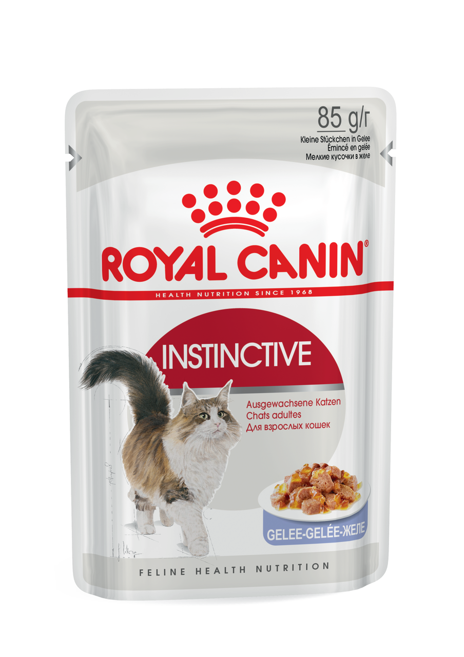 Royal Canin Instinctive in jelly, 0,085кг — Влажный корм кусочки в желе для взрослых котов
Royal Canin Instinctive in jelly, 0,085кг — Влажный корм кусочки в желе для взрослых котов