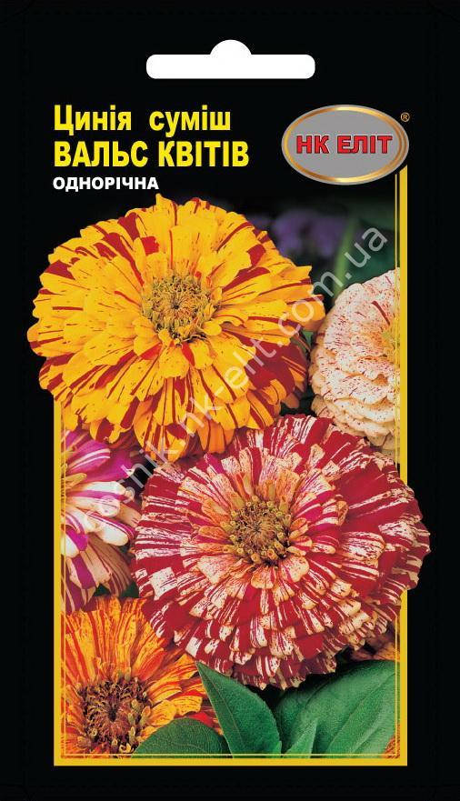 Цинния Вальс цветов 
Цинния Вальс цветов