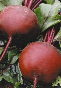 Семена свеклы "Красный шар"
Семена свеклы "Красный шар"