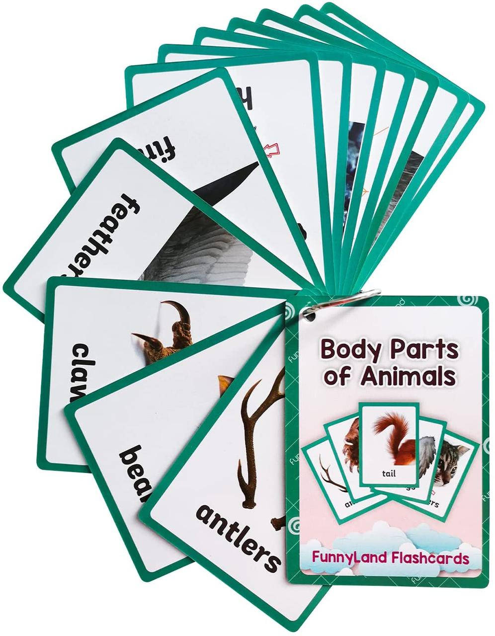Флеш-карточки Body Parts of Animals
Флеш-карточки Body Parts of Animals