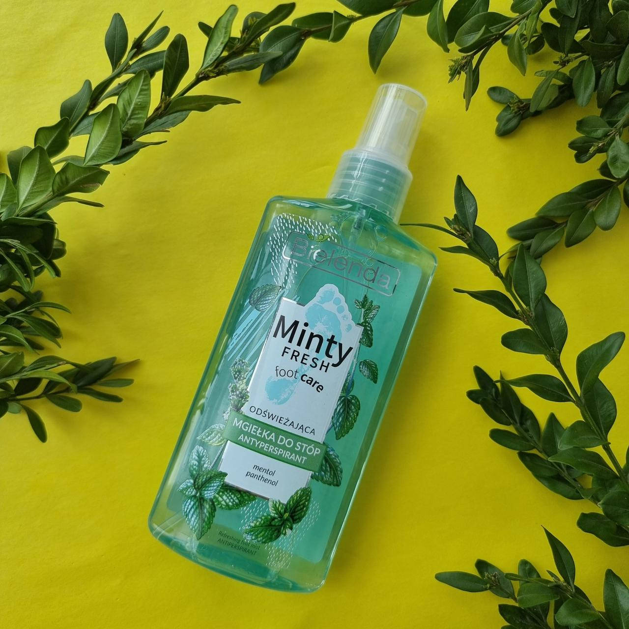 Антиперспирант для ног Bielenda COMFORT Minty Fresh Foot Care (распылитель), 150 мл
Антиперспирант для ног Bielenda COMFORT Minty Fresh Foot Care (распылитель), 150 мл