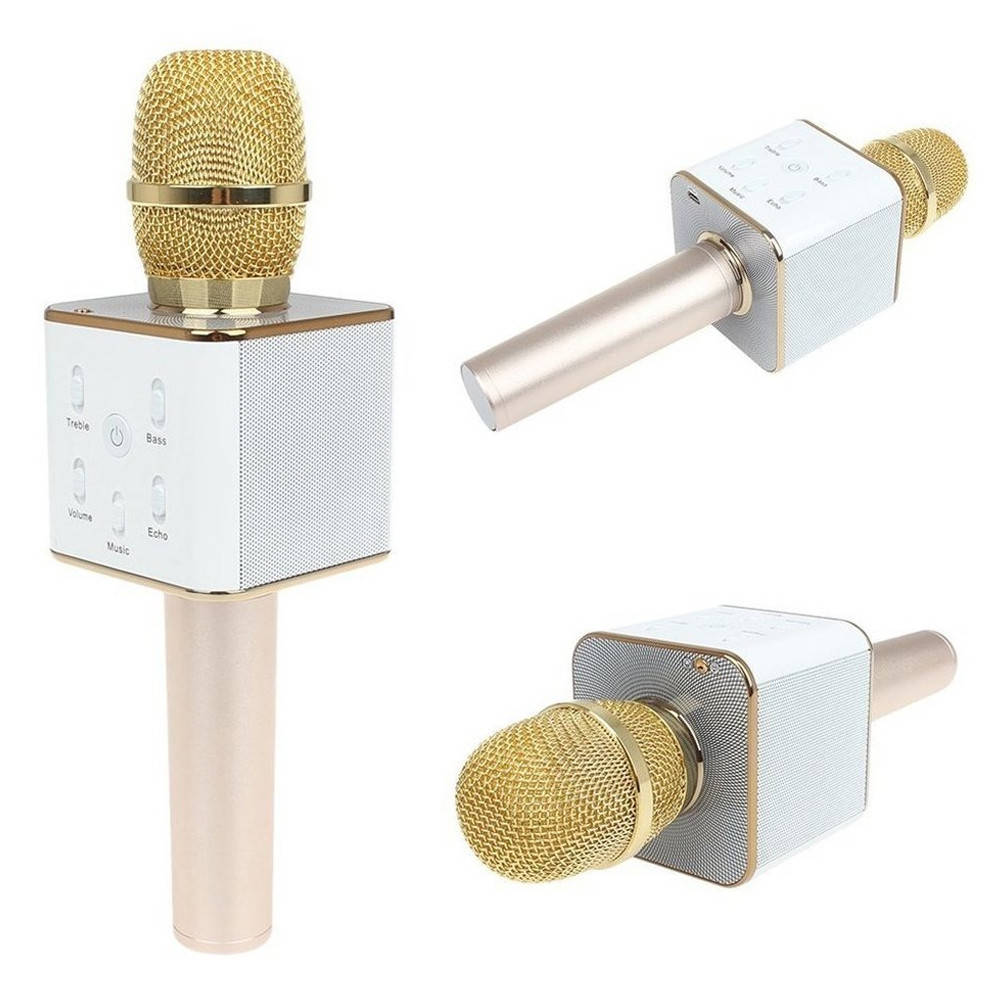 Микрофон караоке детский беспроводной Q7 Золото Gold USB Bluetooth с чехлом Игрушка микрофон с динамиком
Микрофон караоке детский беспроводной Q7 Золото Gold USB Bluetooth с чехлом Игрушка микрофон с динамиком