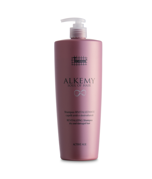 ALKEMY REVITALIZING Shampoo Re-Active/ Шампунь для відновлення пошкодженого волосся/ 1000 мл/ Technique
ALKEMY REVITALIZING Shampoo Re-Active/ Шампунь для відновлення пошкодженого волосся/ 1000 мл/ Technique