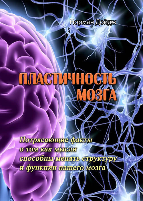Пластичность мозга. Потрясающие факты о том как мысли способны менять структуру и функции нашего мозга
Пластичность мозга. Потрясающие факты о том как мысли способны менять структуру и функции нашего мозга