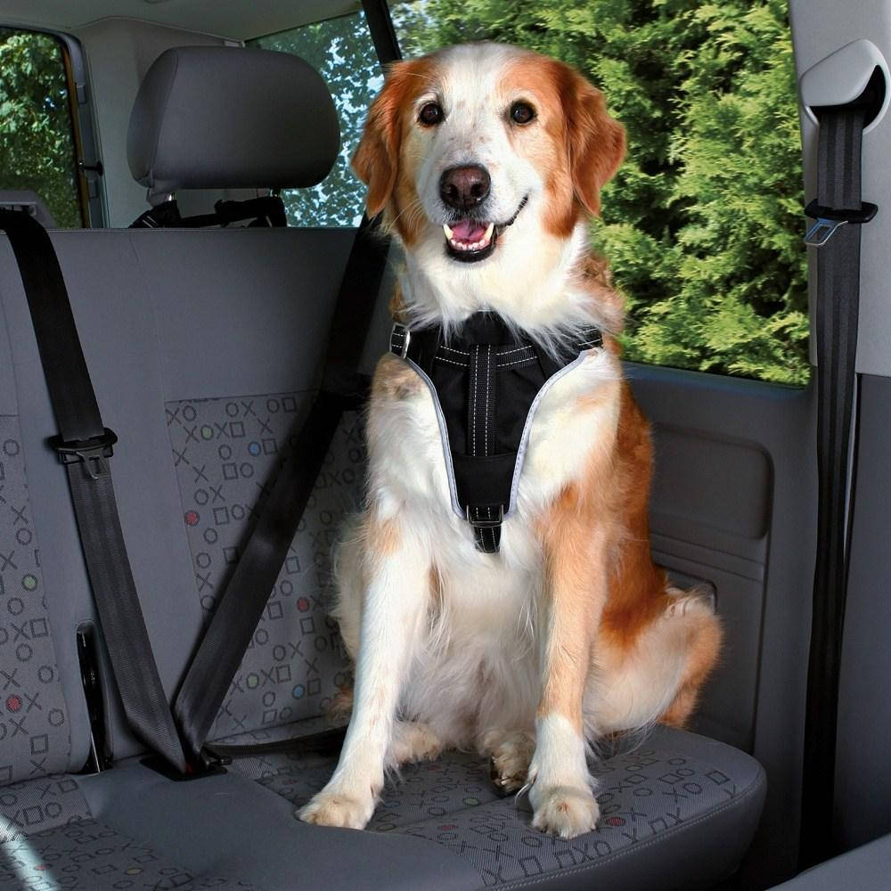 Защитная шлея в авто для собак TRIXIE - Dog ProtectРазмер L:65–80см/25мм, нейлон, Черный
Защитная шлея в авто для собак TRIXIE - Dog ProtectРазмер L:65–80см/25мм, нейлон, Черный