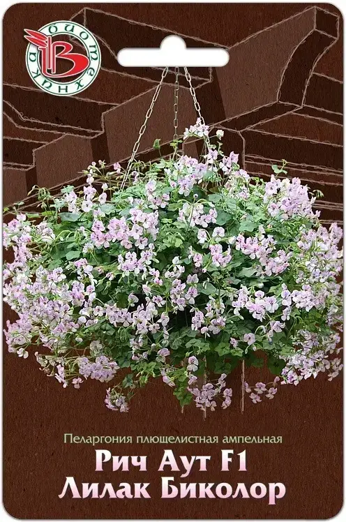 Пеларгония Рич Аут Лилак Биколор Ф1
Пеларгония Рич Аут Лилак Биколор Ф1