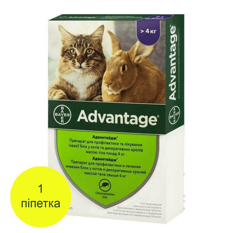 Капли Bayer Адвантейдж от блох для котов и кроликов весом от 4 кг 1 пипетка (00-00026496)
Капли Bayer Адвантейдж от блох для котов и кроликов весом от 4 кг 1 пипетка (00-00026496)