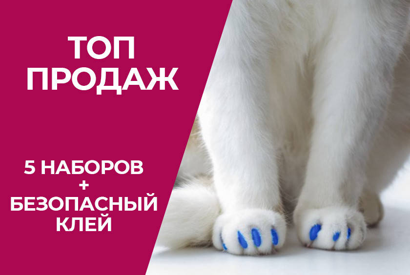 Антицарапки для котов и кошек, Размер XS (от 0 до 2.5 кг), 5 наборов (цвета на выбор)
Антицарапки для котов и кошек, Размер XS (от 0 до 2.5 кг), 5 наборов (цвета на выбор)