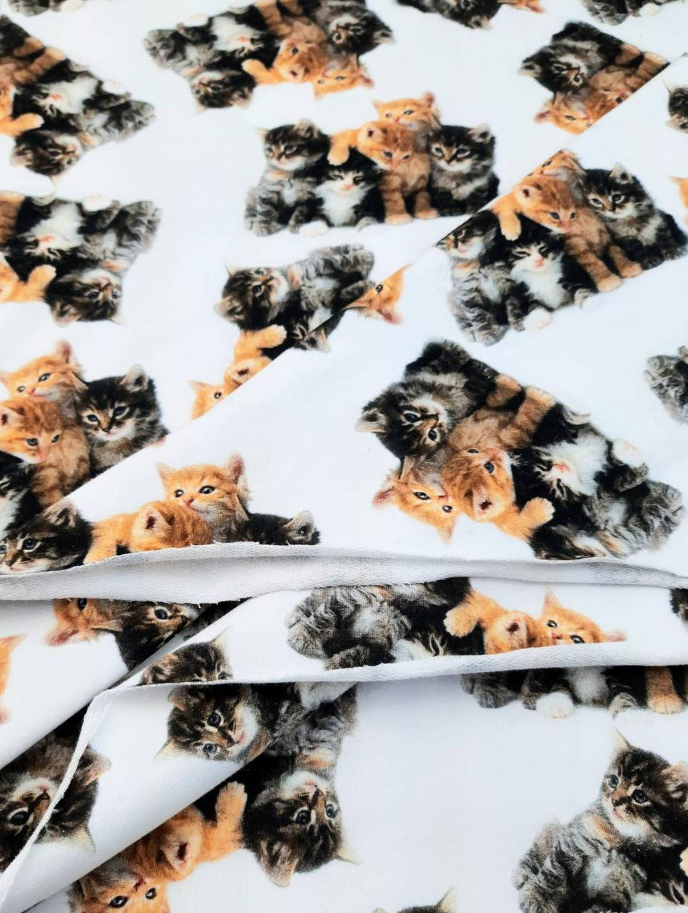 Футер двунитка "Чудесная пятёрка" - 180см. (диджитал)
Футер двунитка "Чудесная пятёрка" - 180см. (диджитал)