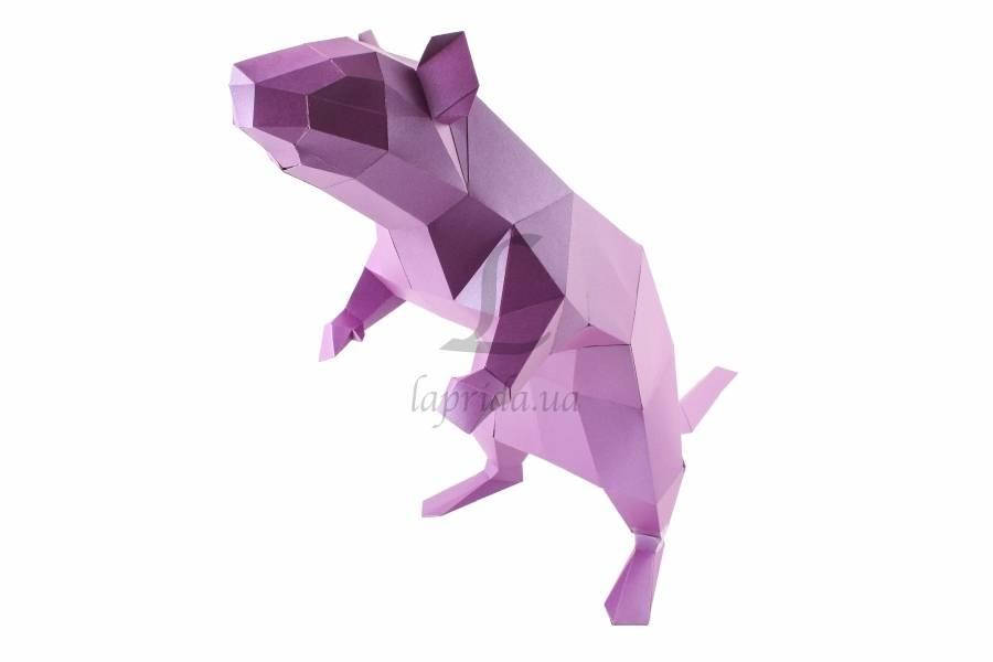 Papercraft Casuarina, 3D фигуры из бумаги, ширина 83 см, высота 42 см, 17 листов, фигура объемная, игрушка из
Papercraft Casuarina, 3D фигуры из бумаги, ширина 83 см, высота 42 см, 17 листов, фигура объемная, игрушка из