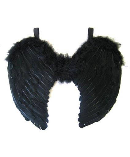 Крылья падшего ангела черные
Крылья падшего ангела черные