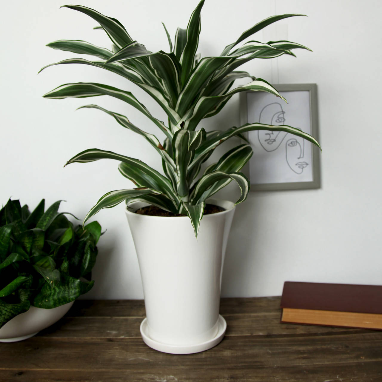 Вазон керамический для цветов "Колокол" 4.5л Rezon Белый P132
Вазон керамический для цветов "Колокол" 4.5л Rezon Белый P132