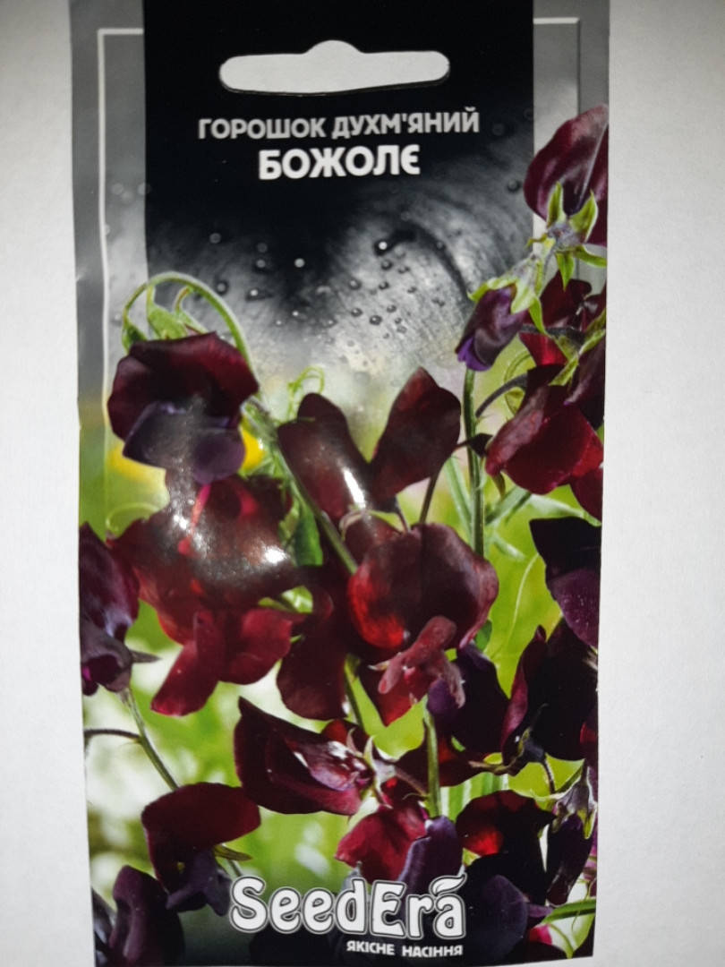 Семена Душистый горошек Божоле 1 грамм SeedEra, Бордовый
Семена Душистый горошек Божоле 1 грамм SeedEra, Бордовый