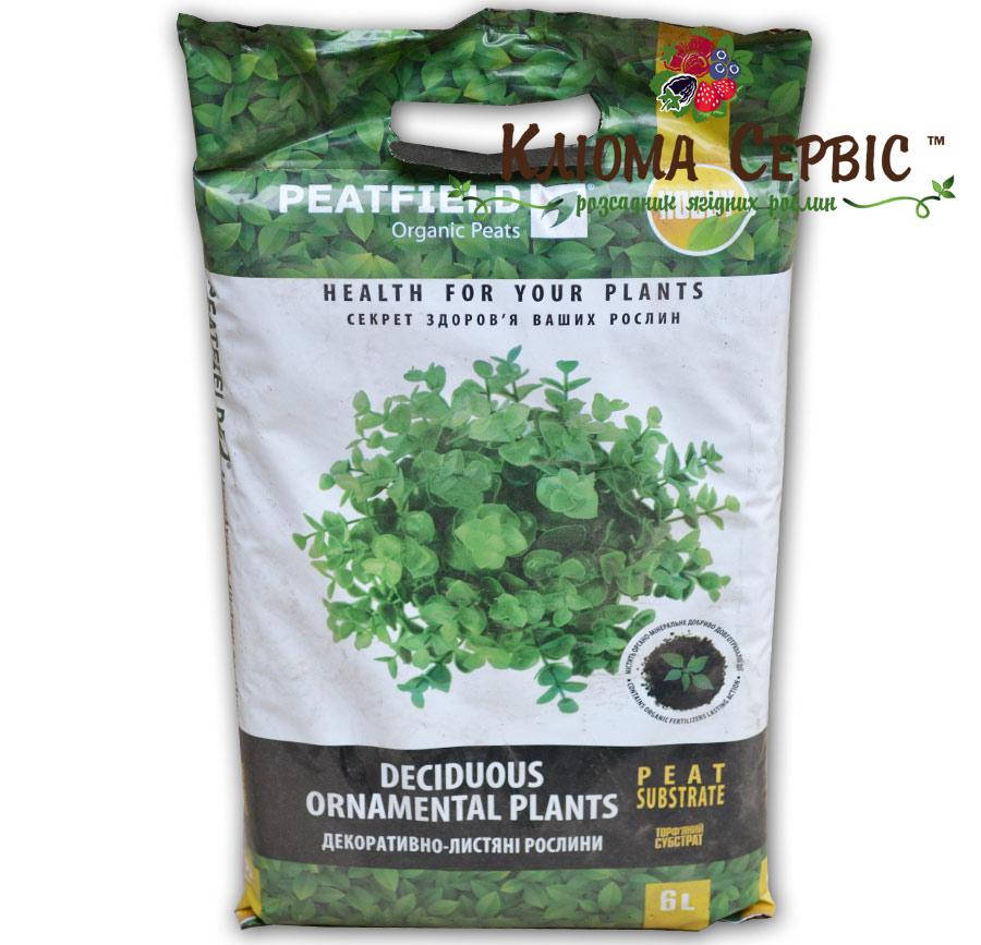 Торфяной субстрат «Для декоративно-лиственных растений», 6 л PEATFIELD 
Торфяной субстрат «Для декоративно-лиственных растений», 6 л PEATFIELD
