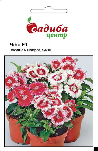 Семена Гвоздика Чибо F1, смесь 10 гранул
Семена Гвоздика Чибо F1, смесь 10 гранул