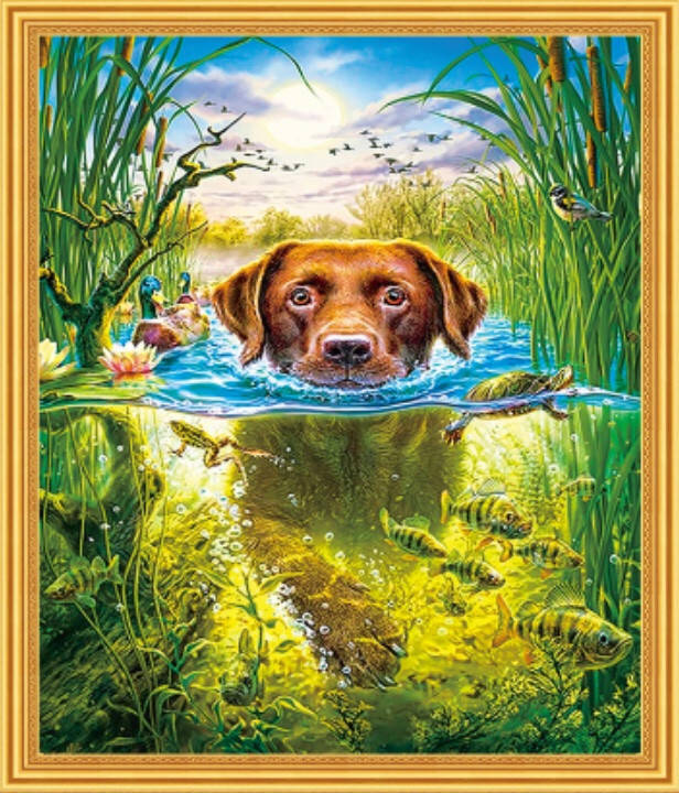50*40см Плывущая собака, алмазная живопись, полная выкладка
50*40см Плывущая собака, алмазная живопись, полная выкладка