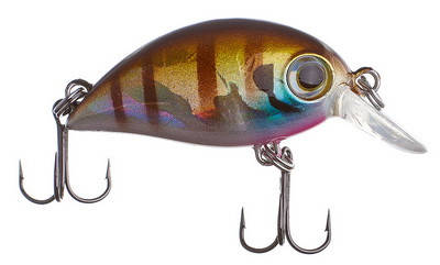 Воблер MISO-BAIT Chub Killer 34mm 3.2g 509
Воблер MISO-BAIT Chub Killer 34mm 3.2g 509