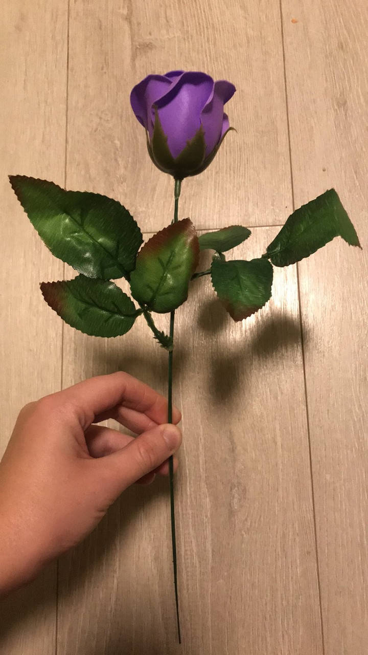 Ножка розы с листочками, стебель для розы
Ножка розы с листочками, стебель для розы