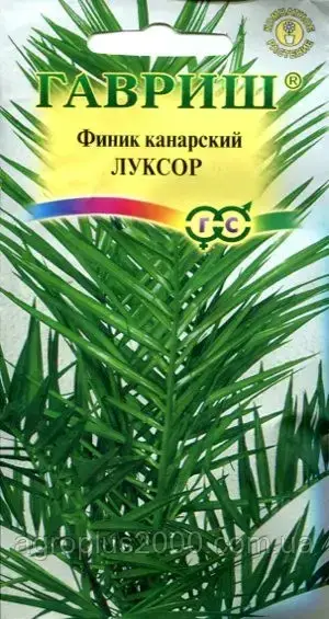 Семена Финик канарский Луксор 2 сем.Гавриш, Зелёный 
Семена Финик канарский Луксор 2 сем.Гавриш, Зелёный