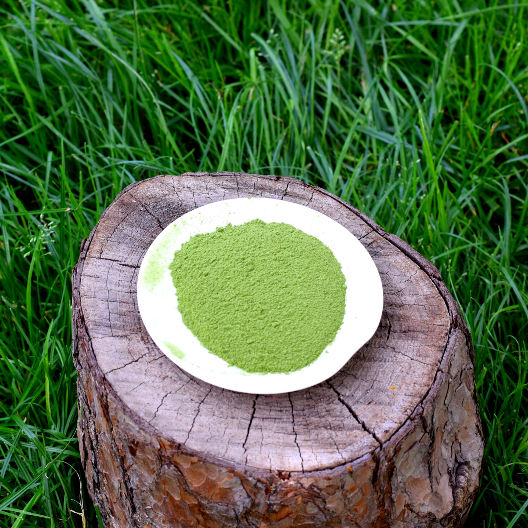 Порошок ростков ячменя 100г.
Порошок ростков ячменя 100г.