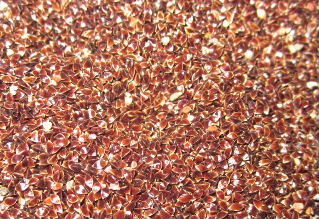 Семена Щавеля Одесский Широколистный 0.5
Семена Щавеля Одесский Широколистный 0.5