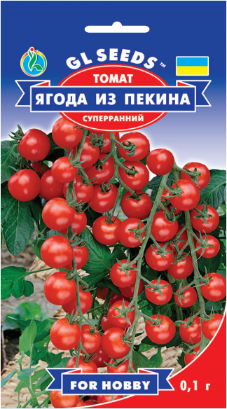 Томат Ягода из Пекина черри суперранний низкорослый сладкий лежкий не перезревает, упаковка 0,1 г
Томат Ягода из Пекина черри суперранний низкорослый сладкий лежкий не перезревает, упаковка 0,1 г