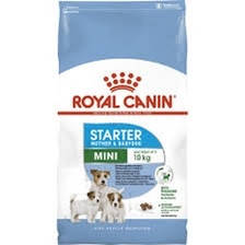 Royal Canin MINI STARTER 1кг Сухий корм для собак дрібних порід у період вагітності та лактації
Royal Canin MINI STARTER 1кг Сухий корм для собак дрібних порід у період вагітності та лактації