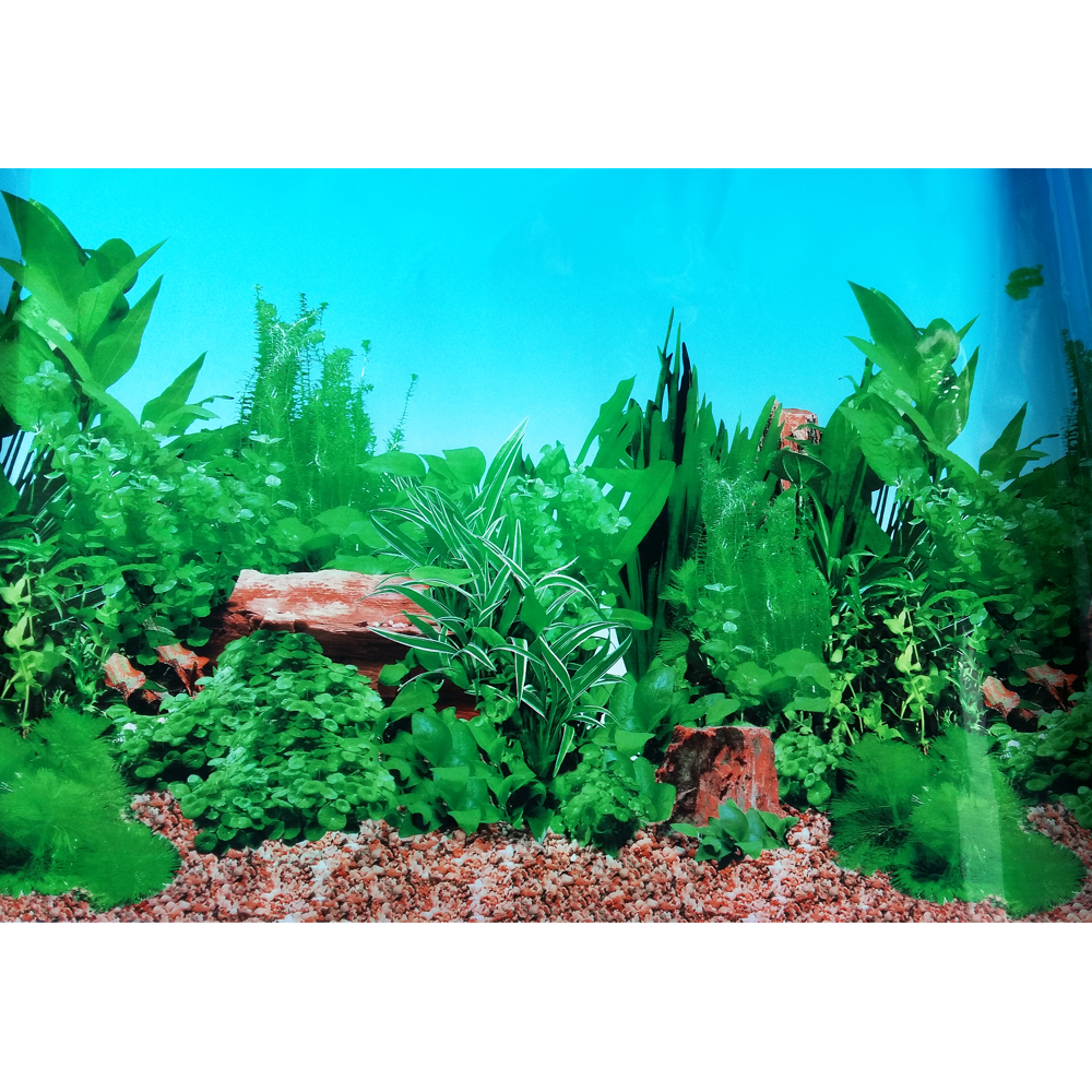 Фон для аквариума плотный с высотой 80 см 
Фон для аквариума плотный с высотой 80 см