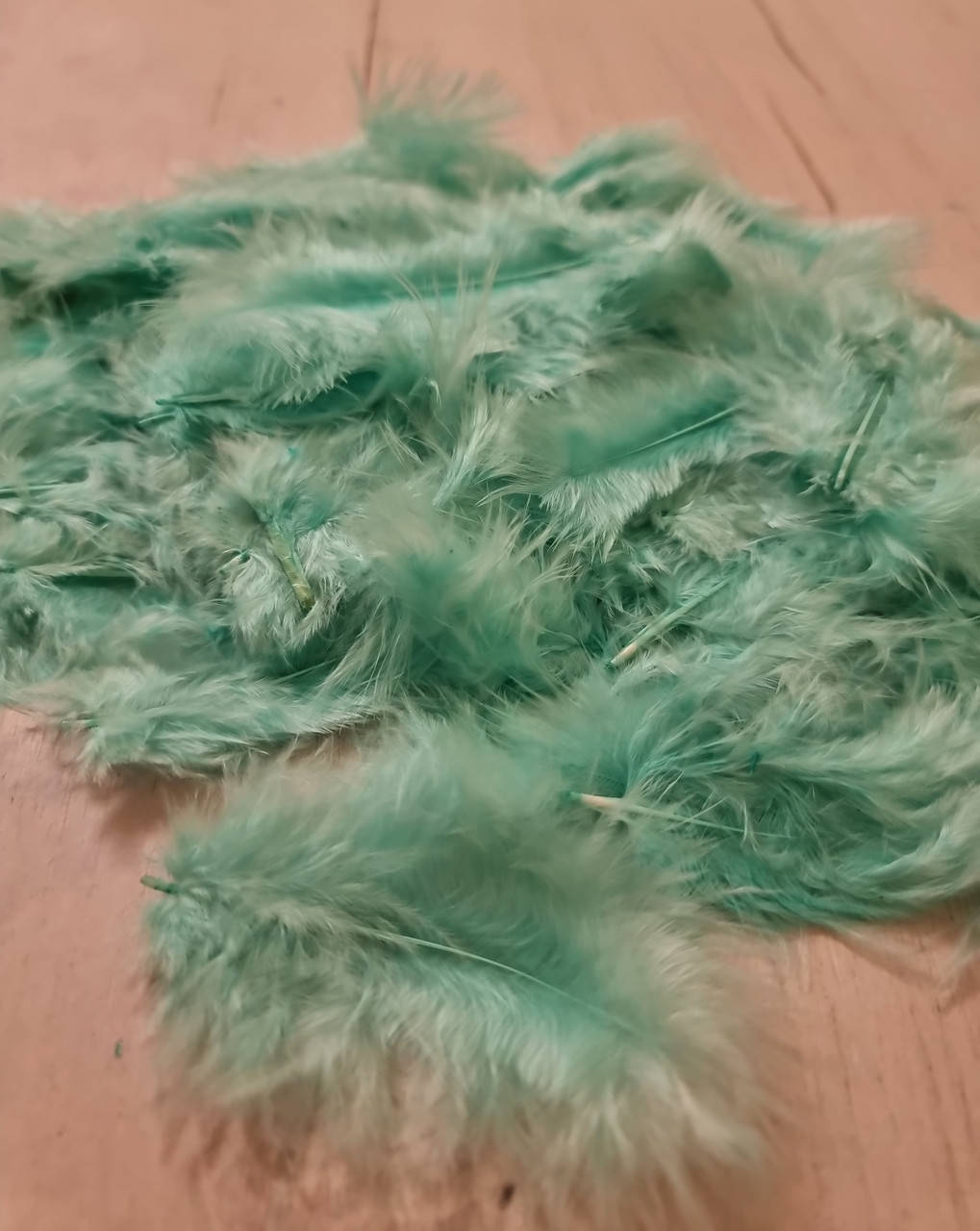 Перья аквамарин, Разные цвета
Перья аквамарин, Разные цвета