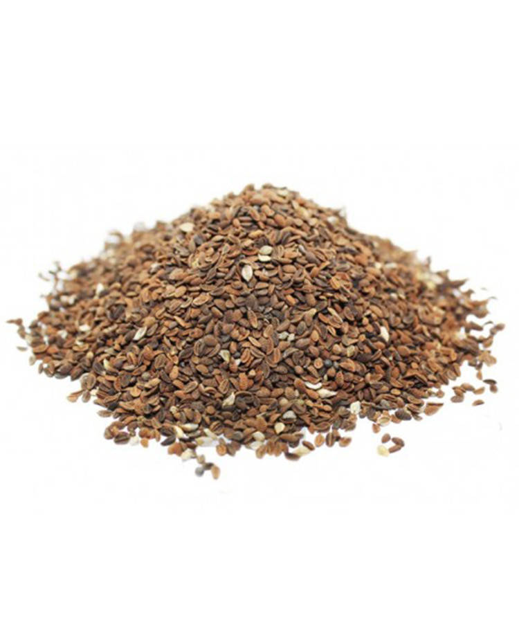 Насіння Фацелії 1кг
Насіння Фацелії 1кг