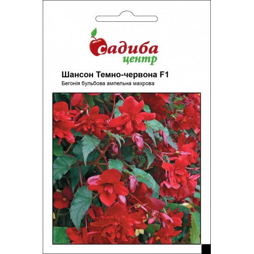 Семена Бегония ампельная махровая Шансон F1 темно-красная 10 семян Cerny, Красный 
Семена Бегония ампельная махровая Шансон F1 темно-красная 10 семян Cerny, Красный