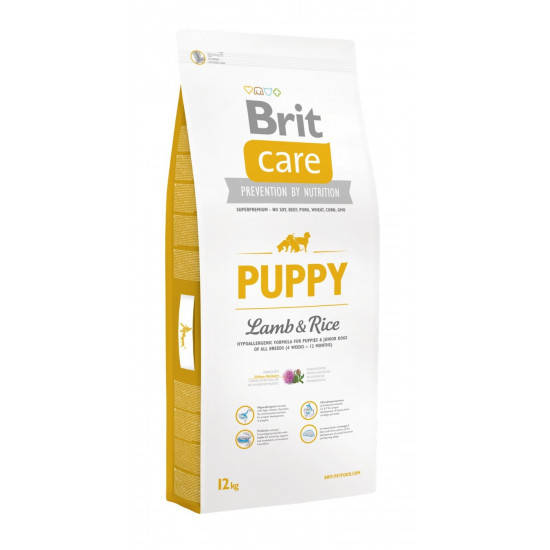 Brit Care (Брит Кеа) Puppy Lamb & Rice Сухой гипоаллергенный корм для щенков с ягненком и рис 12 кг
Brit Care (Брит Кеа) Puppy Lamb & Rice Сухой гипоаллергенный корм для щенков с ягненком и рис 12 кг