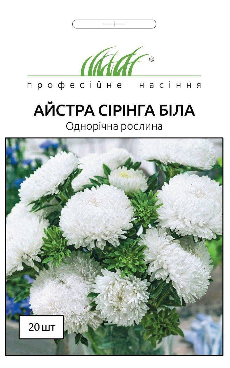 Астра Сиринга белая 20 шт. Satimex, Белый
Астра Сиринга белая 20 шт. Satimex, Белый