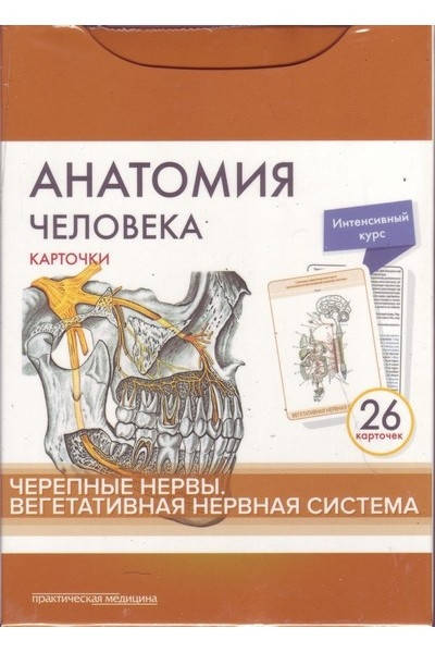 Сапин Анатомия человека: карточки. (26 шт). Черепные нервы. Вегетативная нервная система 2021 год
Сапин Анатомия человека: карточки. (26 шт). Черепные нервы. Вегетативная нервная система 2021 год