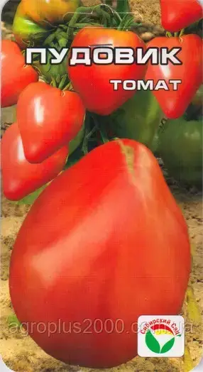 Семена Томат детерминантный Пудовик (Севрюга) 20 семян Сибирский Сад 
Семена Томат детерминантный Пудовик (Севрюга) 20 семян Сибирский Сад
