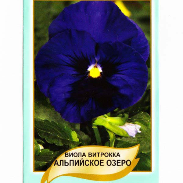 Семена Виола Альпийское Озеро 0,1 г 
Семена Виола Альпийское Озеро 0,1 г