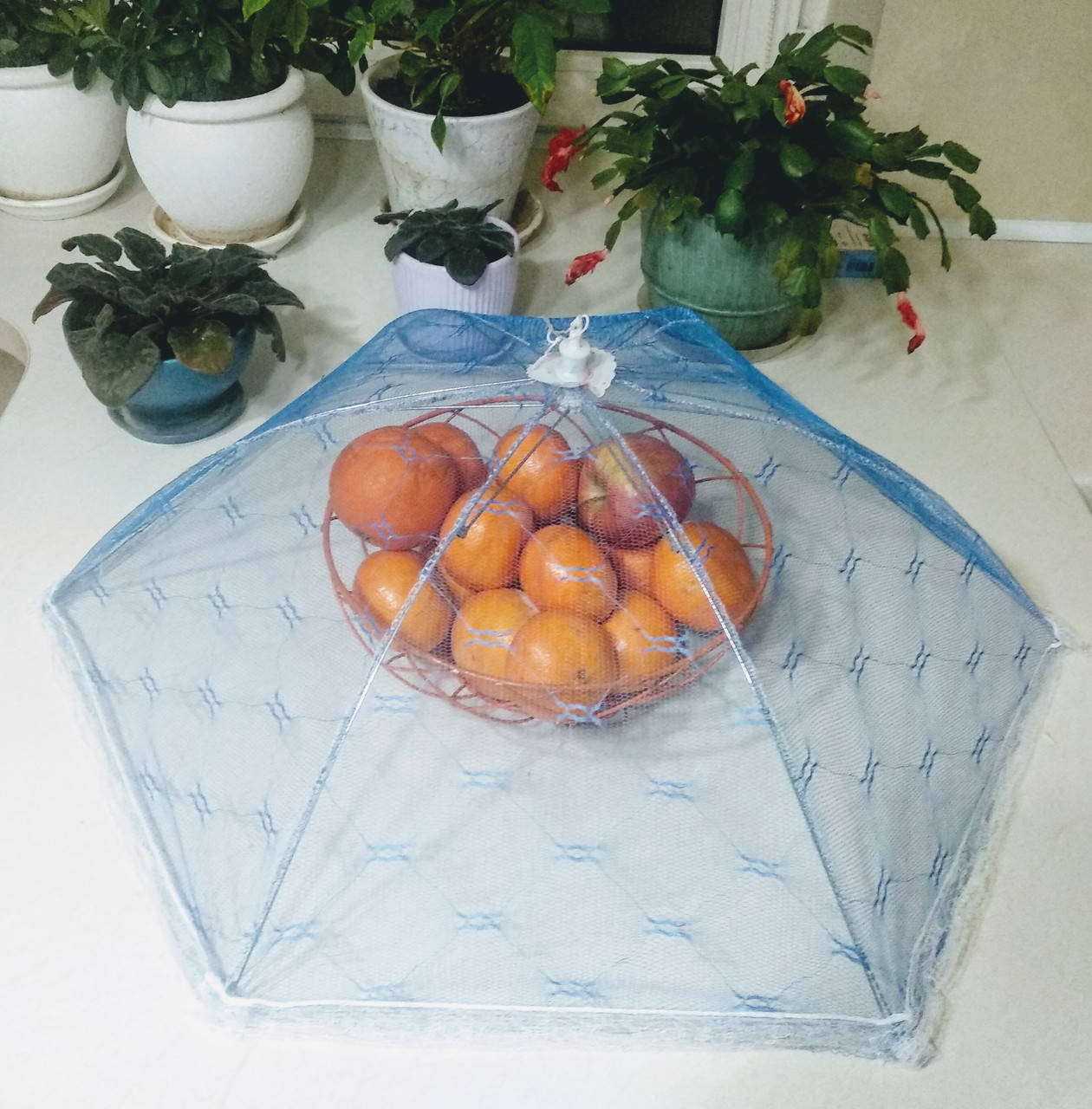 Сетка зонтик на стол для защиты пищи от мух и ос 60х60 см синий, Голубой
Сетка зонтик на стол для защиты пищи от мух и ос 60х60 см синий, Голубой