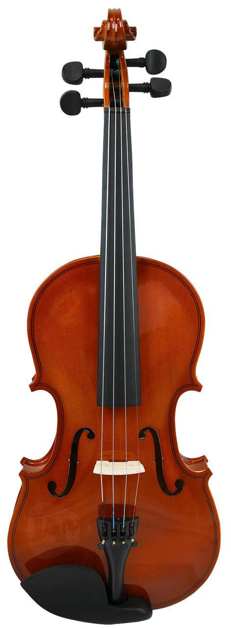 PARKSONS CV101 Скрипка
PARKSONS CV101 Скрипка