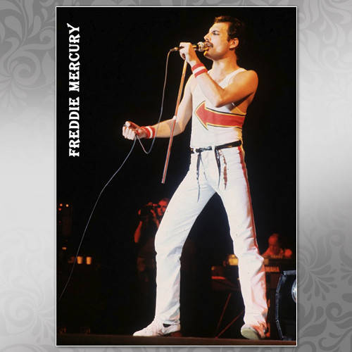 Плакат Freddie Mercury
Плакат Freddie Mercury
