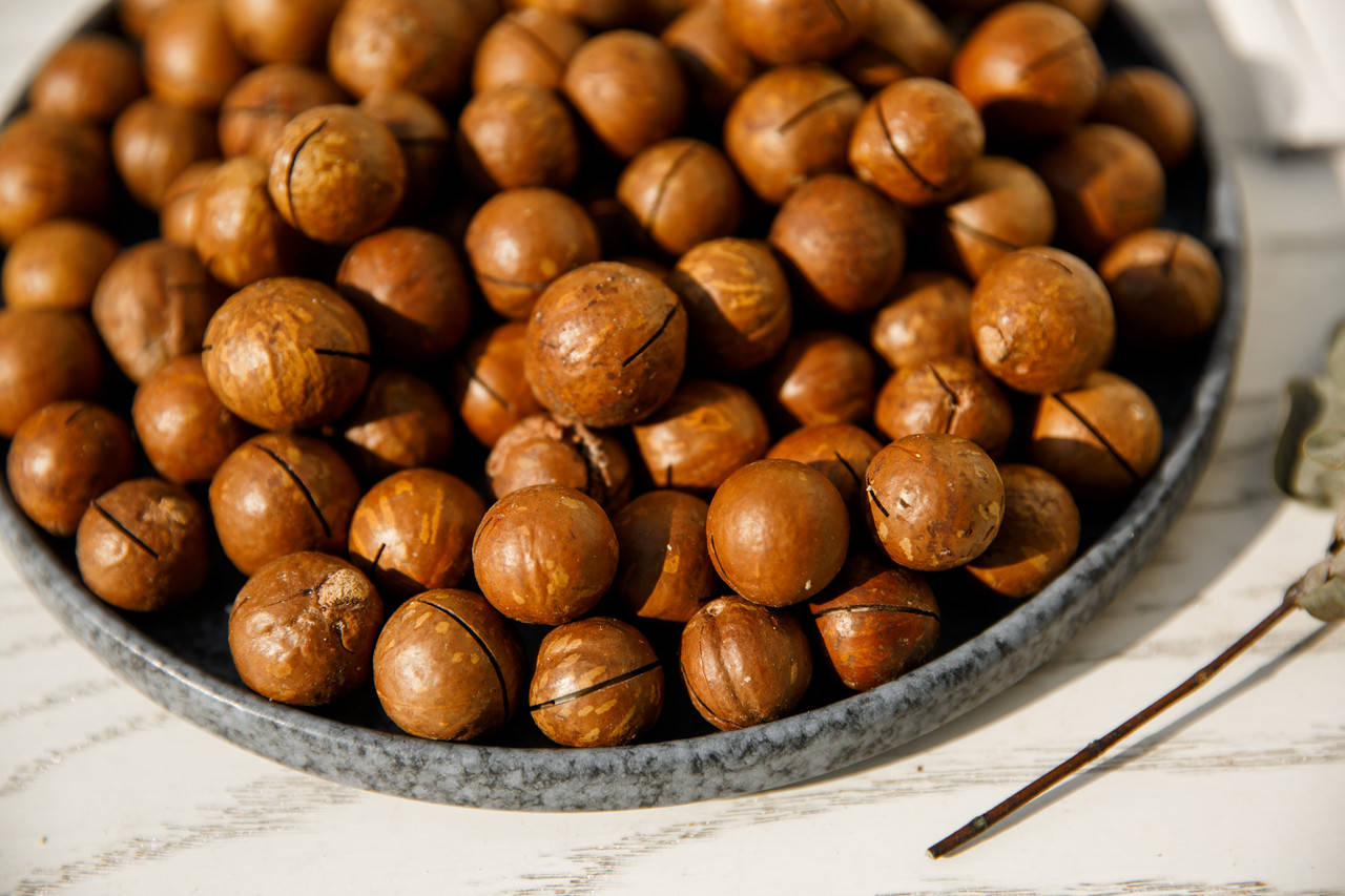 Макадамія в кожурі
Макадамія в кожурі