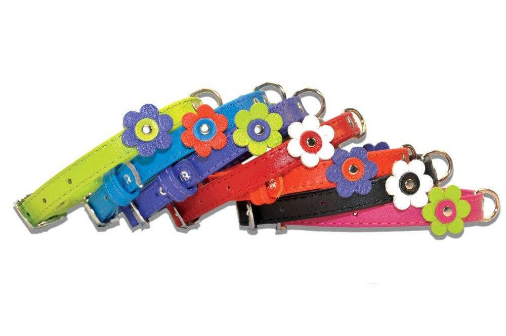 CoLLaR Glamour - кожанный ошейник для собак с украшением аппликация
CoLLaR Glamour - кожанный ошейник для собак с украшением аппликация