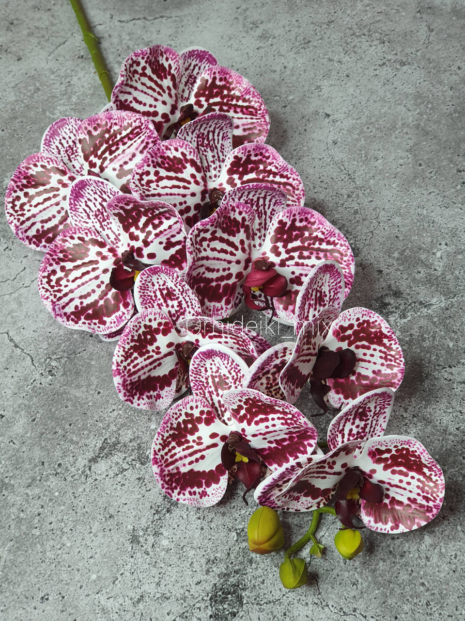Веточка латексных орхидей Премиум класса на 9 цветков ,белый с бордовыми прожилками, Разные цвета
Веточка латексных орхидей Премиум класса на 9 цветков ,белый с бордовыми прожилками, Разные цвета