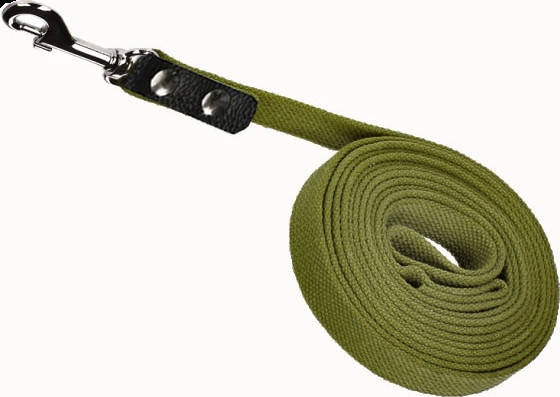 Поводок брезентовый для собаки. Брезентовый поводок 3 метра, 20 мм, Зелёный
Поводок брезентовый для собаки. Брезентовый поводок 3 метра, 20 мм, Зелёный