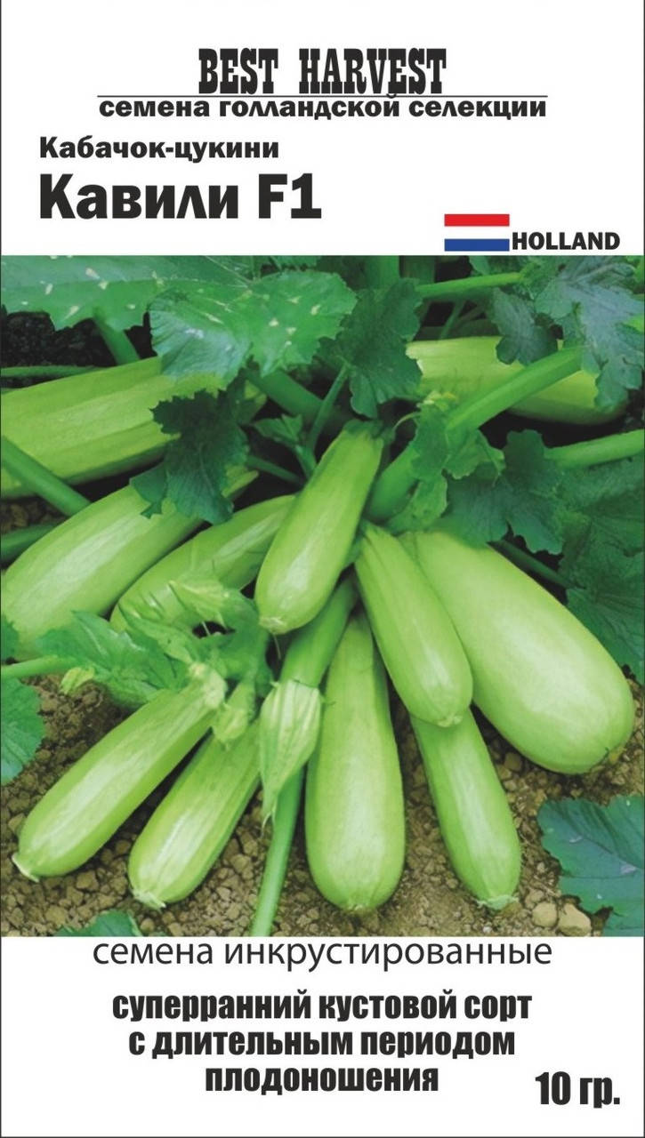 Семена кабачков "Кавили F1" инкрустированные 10 г. 
Семена кабачков "Кавили F1" инкрустированные 10 г.
